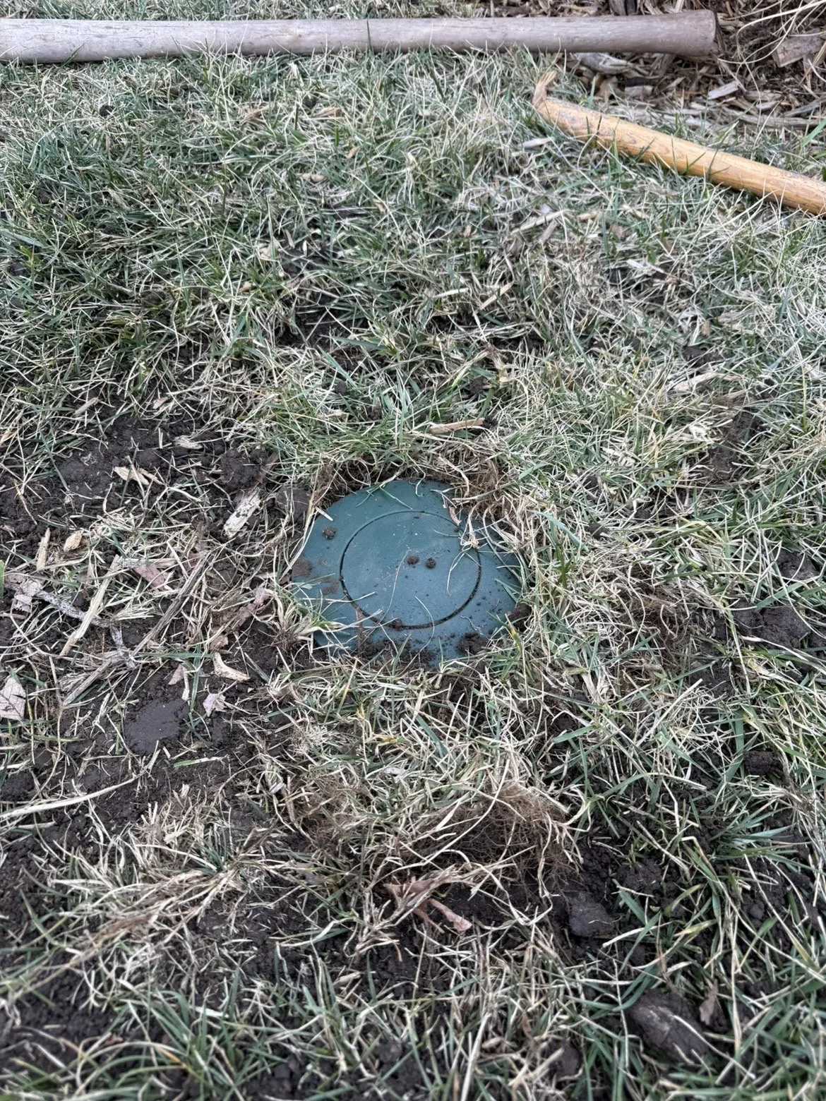Pop-up drainage emitter cap installed in residential lawn