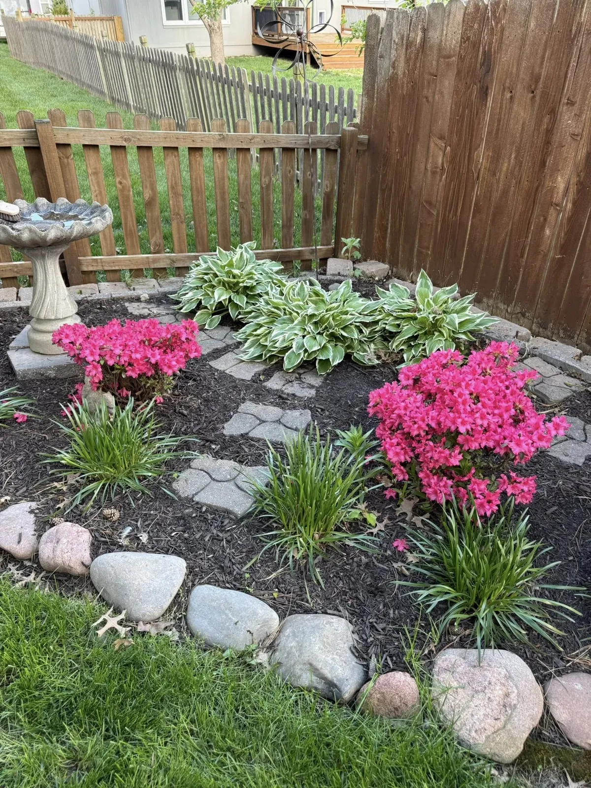 Flower bed landscape design with pink azaleas, hostas, stone pavers, and birdbath in Kansas City