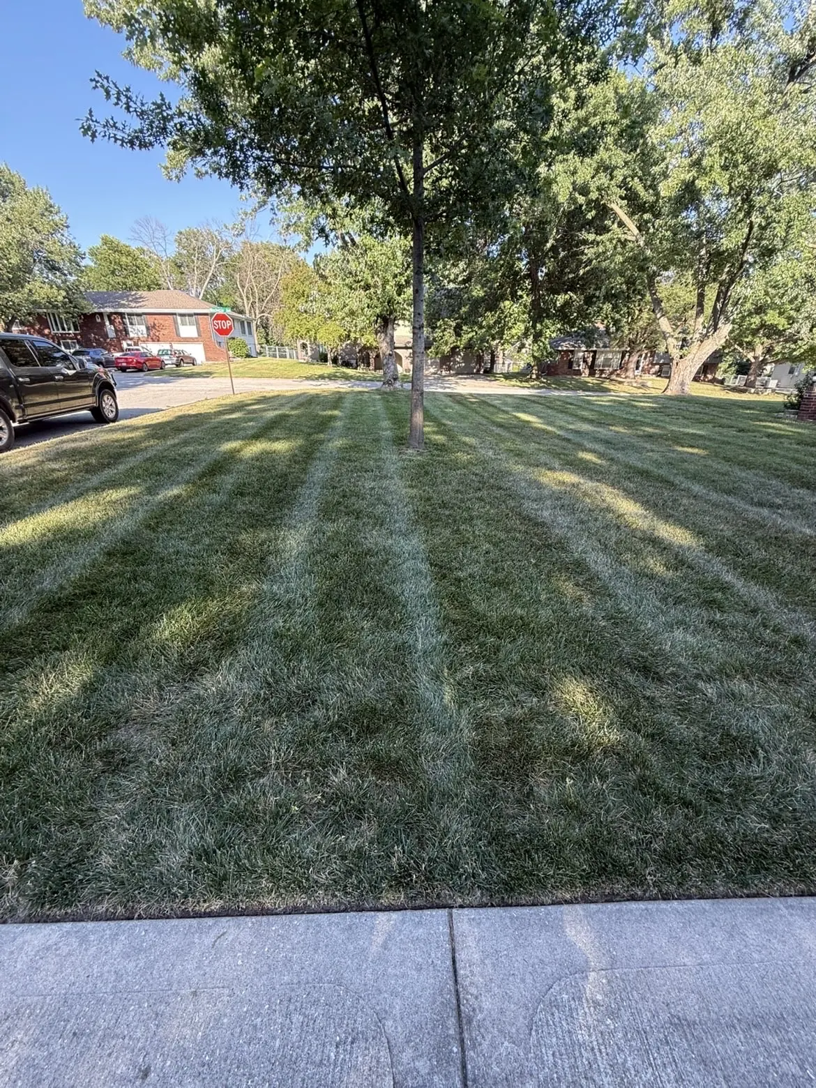 Residential front yard with clean professional mowing stripes