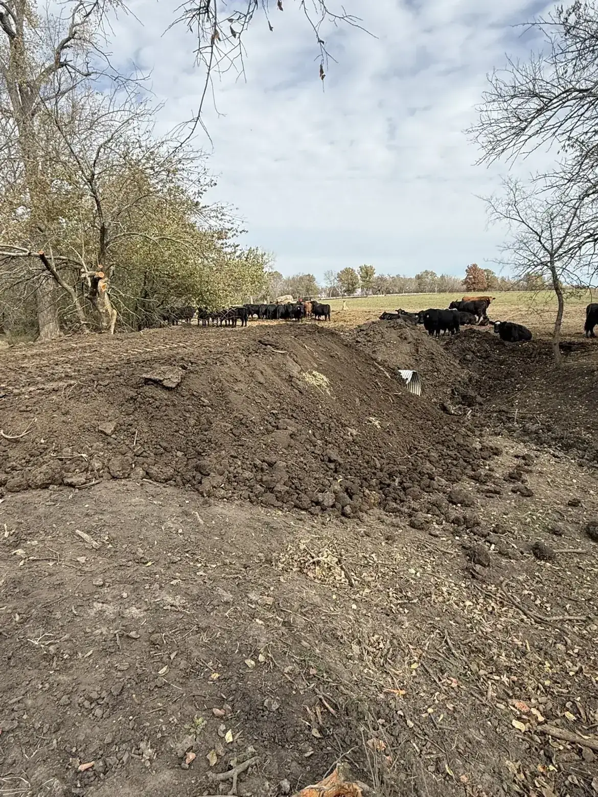 Land clearing and culvert installation on rural Kansas City property