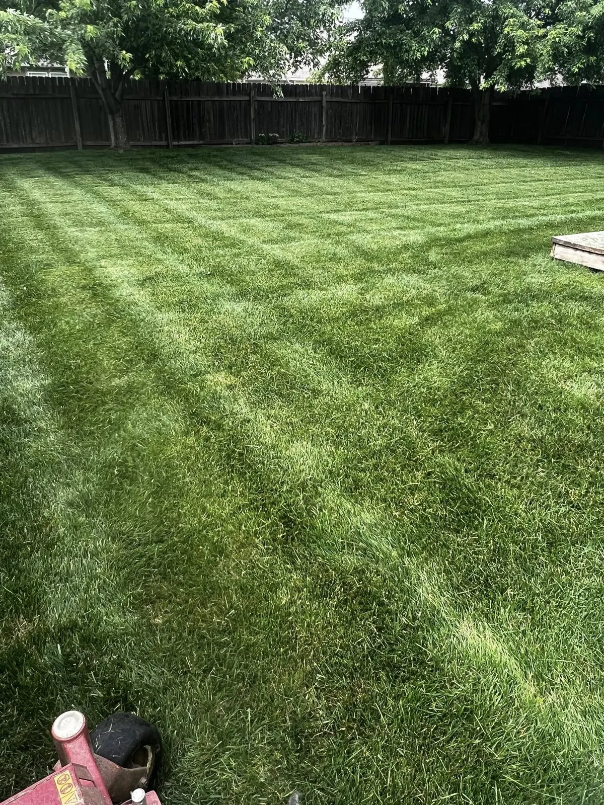 Backyard lawn with plaid mowing stripes